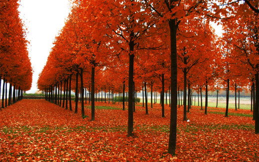 889214 (a): :1920x1200